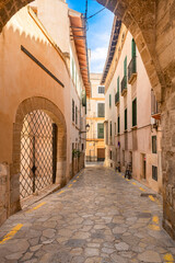 Fototapeta na wymiar Alley in the old quarter of Palma de Majorca - 8001