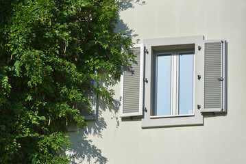 Gray plastic window shutters on a residential building with climbing plant