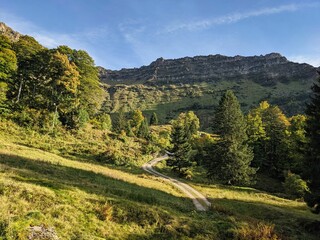 autumn mood on a rural alp in the canton of st.gallen. Hike to the mountain Speer above Amden. Nice hiking weather.