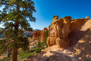 Hoo Doo's on the Navajo Trail in bryce Canyon Ampitheater