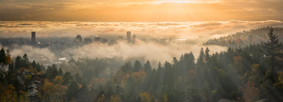 Portland Downtown misty rolling fog and autumn foliage in high resolution panorama