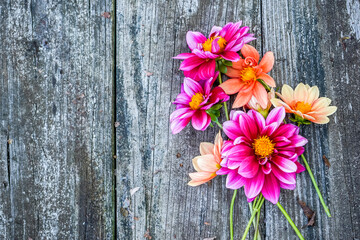 Graphic resource. Pink, purple, and orange flowers on a rustic wood background. 