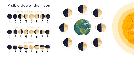 Moon phase, lunar cycle, synodic month. Lunary visible side. New and full moon, waxing and waning crescent, first and last quarter, gibbous. Astronomy, astrophysics. Vector flat cartoon illustration - obrazy, fototapety, plakaty