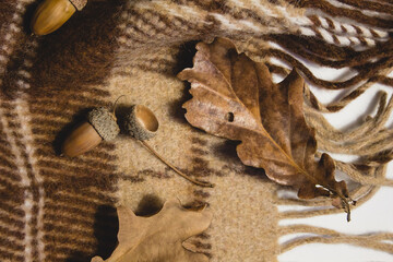 A brown plaid blanket on which lies dry yellow oak leaves and acorns. Autumn.