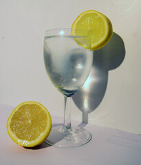 Gin Tonic & Lemons