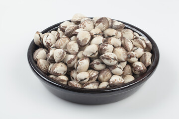 조개 꼬막 해산물