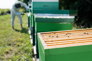 selective focus of honeybees on beehive near blurred beekeeper working on apiary