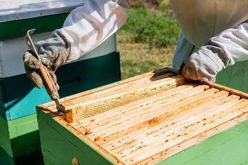 partial view of bee master inspecting honeycomb frames while working on apiary