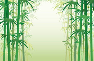 Bamboo Garden Forest Background Frame