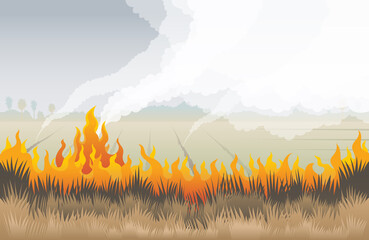 Grass Fire, Field with Burning Dry Grass Background, Pollution, Pm2.5