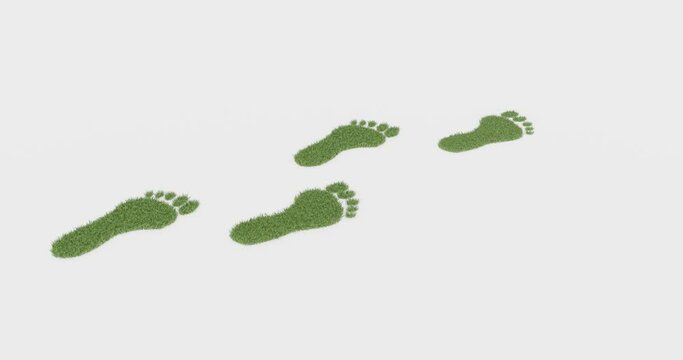 Green grass growing footprints, 3d animation on white background
