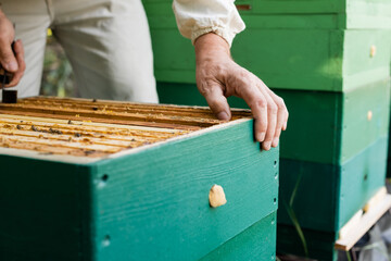 cropped view of blurred beekeeper working near beehive on apiary