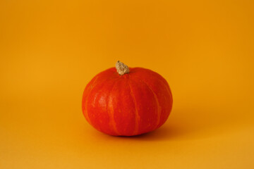 beautiful orange round pumpkin on a yellow background. organic product. preparing for Halloween