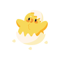 Isolated happy bird comming out from an egg Vector illustration
