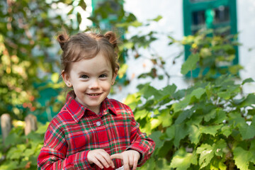 Little funny child with two ponytails on his head in a checkered red shirt on a blurred rustic...