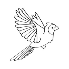 Isolated cute and colored bird Vector illustration