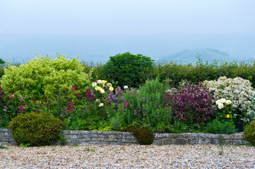 Plants and flowers in a residential garden, Somerset, England