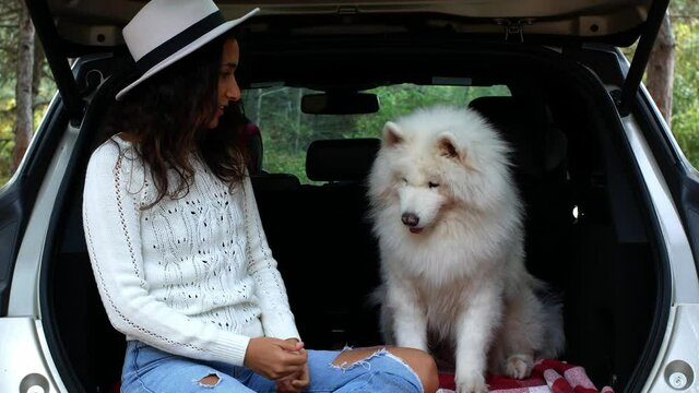 A young woman in a stylish hat sits with a dog in the trunk, in the woods. Traveling by car with animals. Samoyed pet.