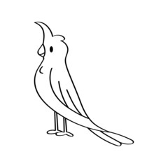 Isolated cute and colored bird Vector illustration