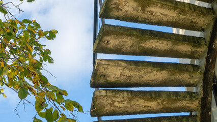 Old concrete steps and autumn branch of tree against a blue sky. Upward concept.