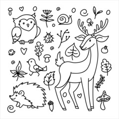 Cartoon autumn forest animals set. Bundle - deer, owl, bird, hedgehog, snail, mushrooms, leaves and ladybug for kids. Vector illustration isolated on white background for coloring book or woodburning.