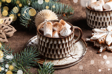 Cocoa with marshmallow and cinnamon.