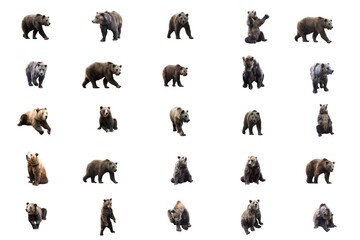 Set many of brown bear isolated over white background. Collage.