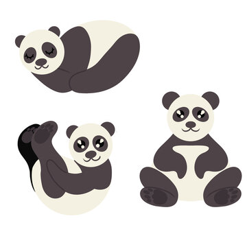 Collection of clip art pandas. Set of illustrations of pandas isolated on white background. Vector illustration. For design of posters banners with advertising about animals for printing on clothes