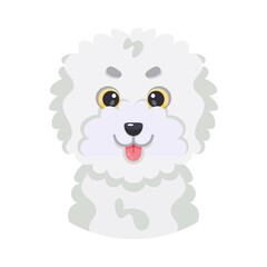 Isolated avatar of a french poodle dog breed Vector illustration