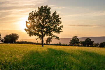 Country landscape in sunshine in Germany