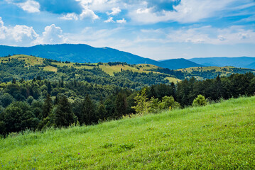 Obraz premium a field covered with grass amid beautiful mountains covered with forests on a warm summer day. green young mountains.