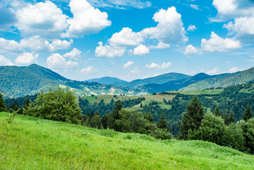 Fototapeta na wymiar a field covered with grass amid beautiful mountains covered with forests on a warm summer day. green young mountains.