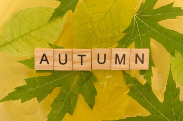 Naklejka na ściany i meble Wooden letters lie on yellow leaves in water. The word autumn is written on the letters.