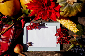 Autumn creative mood board concept: frame fruits and vegetables, pumpkin, corn, pears, apple, grapes and melon in the black frame. Thanksgiving Day concept. Autumn aesthetic still life