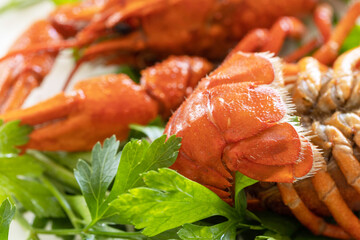 Boiled Crawfish close up and parsley leaves. Appetizer protein.