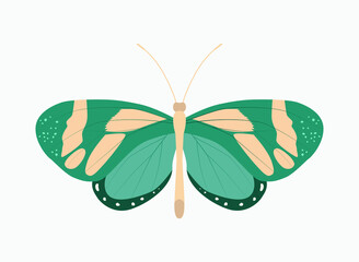 Tropical butterfly in calm green and blue colors for design, logo or icon