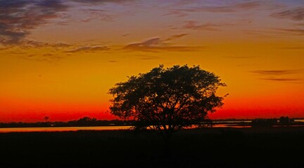 Fototapeta na wymiar Pantanal MS - Brasil