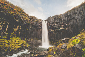 Svartifoss waterfall in Skaftafell national Park 