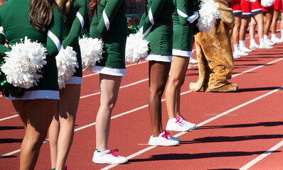 Cheerleaders standing on the track in front of the stands during a football game