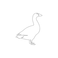 Continuous one line goose . Continuous line drawing of poultry, domestic animal. Hand drawn minimalism style vector illustration.