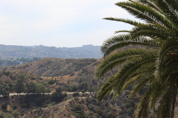 Fototapeta na wymiar Hollywood hills
