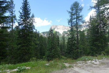 Obraz premium alpi monte cristallo