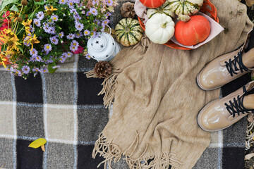 Fototapeta premium picnic in the autumn forest with plaid, flowers, pumpkins and female boots. autumn holiday