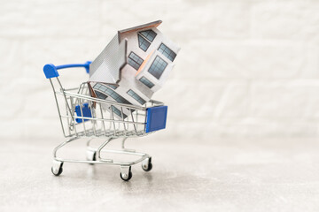 house model in shopping cart and word HOME on white background with copy space.