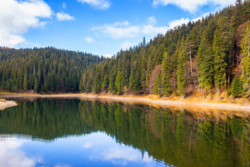 mountain lake among coniferous forest. beautiful autumn landscape with fluffy clouds on the sky. scenery reflecting in the calm water. popular destination of synevyr national park, ukraine