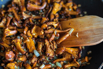 fry raw chanterelle mushrooms with onions, Flat Lay, horizontal