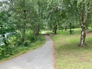 Weg im Park am Flüggenhofsee