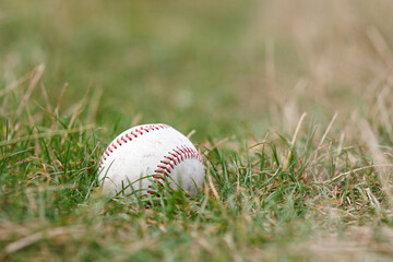baseball ball lying on the ground concept sports