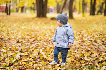 A small child walks in the park in the afternoon on the autumn leaves