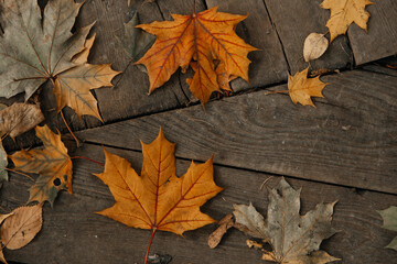 autumn painting, leaves on a wooden background, copyspace